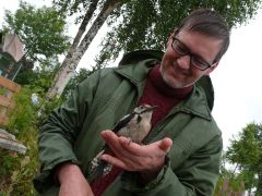 онега дятел2