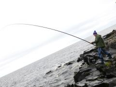 онега удочка