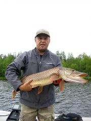 Боцман   шестера 1