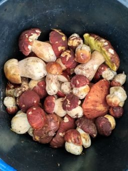 IMG 20170909 122736 HDR