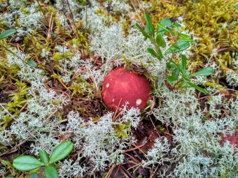 IMG 20170909 115042 HDR