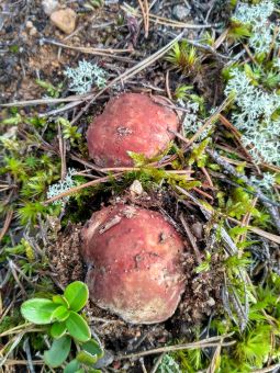 IMG 20170909 113348 HDR