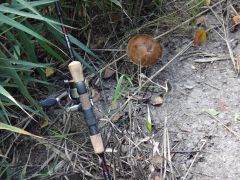 Отсосиновик 1