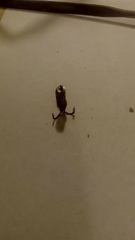 В темном омуте черти водятся или все гениальное просто15