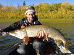 Крупная щука на спиннинг