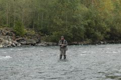 Ловим потихоньку.