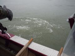 Всех за борт