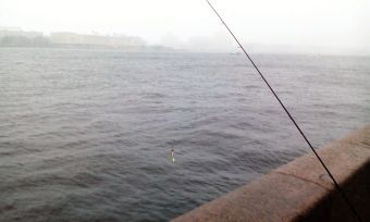 IMG 20151122 100449