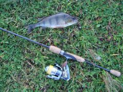 окунь река1