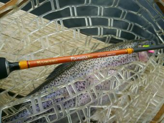 0 02 05 360a896451d4122b6e13c4fb54bd90ae68ce1dc96634d212d7a905e3cad48340 full