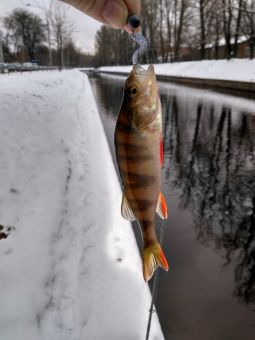 IMG 20161106 110721 HDR