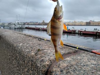 IMG 20161015 114903 HDR