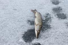 20141222dDUsGQ2fSzgWZIsx ywDQK large