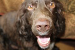 20150217VyqvClSgExsfM9Pq ZiQ6J large