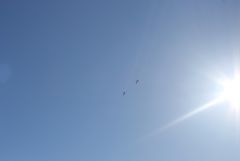 2015031745A4hYQgulBq0o2n QrTL9 large