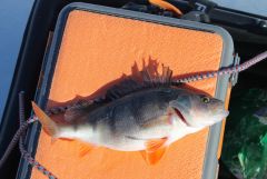 20150317VnYMZMh9qNrixWb1 1hYkU large