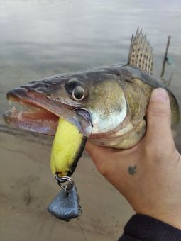 20191024U3KbWfMe2YvPMyi5 fjznb large