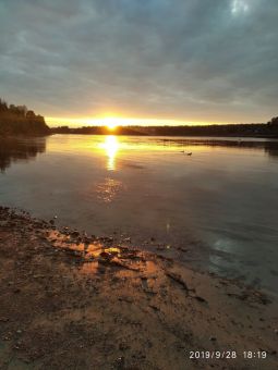 201909306PSFxahFpTzH4lAL WSi03 large