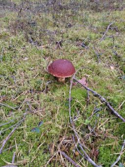 20200916bNooisv3NzZXDY4O YEfpl large