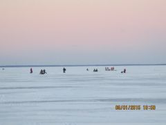 IMG 0295
