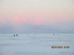 IMG 0294