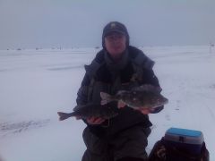 gallery 11301 523 560405