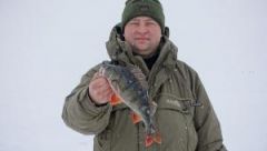 post 3620 0 73549300 1422222833 thumb