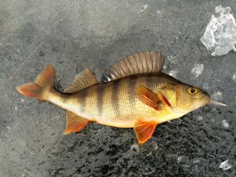 image 13 02 16 09 19 3