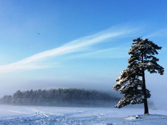 image 16 01 16 04 23 12