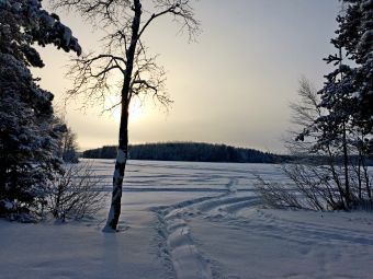 image 16 01 16 04 23 5