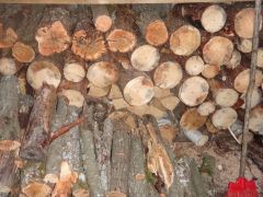 28 трудотерапия2