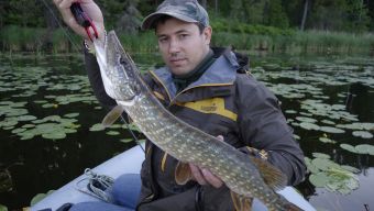 На попперок!