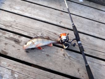 Новая Река 2015