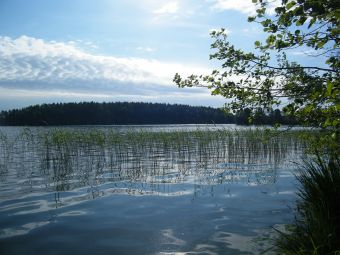 Высокинское.