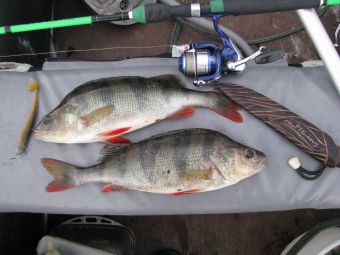 Ивинский 009