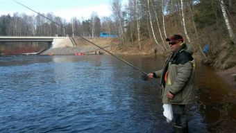 image 0 02 04 7831d762468d59e92ef15932414a1fcf682f744baadc4201080bdad314e52382 V