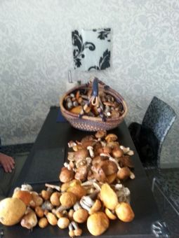 image 0 02 01 7261f0030540c291ece498616600287cfceae904ed8ea55ffc97e97f945ae066 V