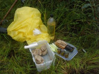 Завтрак на траве