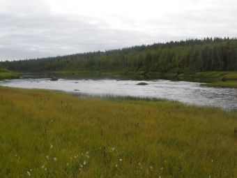 Порог "труба"