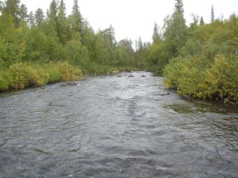 Ручей, впадающий в варзугу