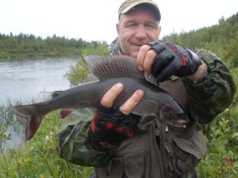 Вот такие красавцы