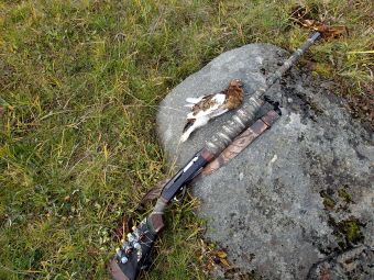 Расширили меню