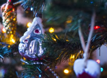 С наступающим Новым годом!