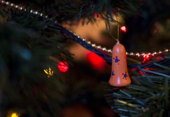 С наступающим Новым годом!