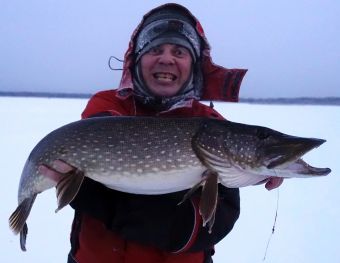 16 января 2016. Щука, жерлица