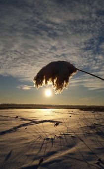 Туса Максфишинга 2016 зима