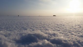 Туса Максфишинга 2016 зима