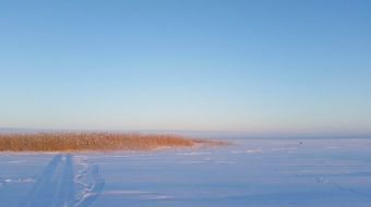 Туса Максфишинга 2016 зима. А мороз был градусов тридцать!
