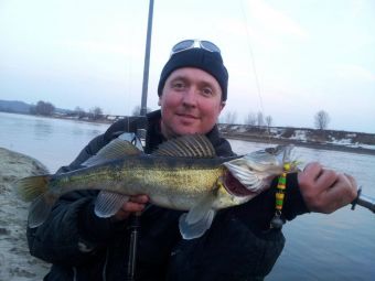 Капитановский судак