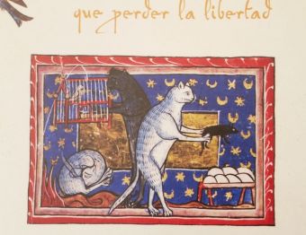 Котики из старинной синагоги в Толедо